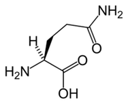 L-glutammina in Keto Diet